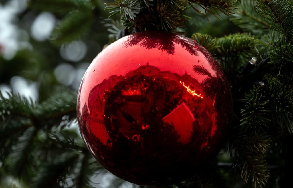 Besinnliche Lichter in Landshuts Altstadt: Weihnachtsbeleuchtung wird angebracht